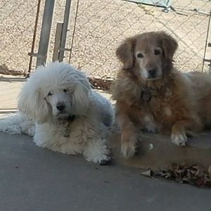 Meet your Posher, Jared